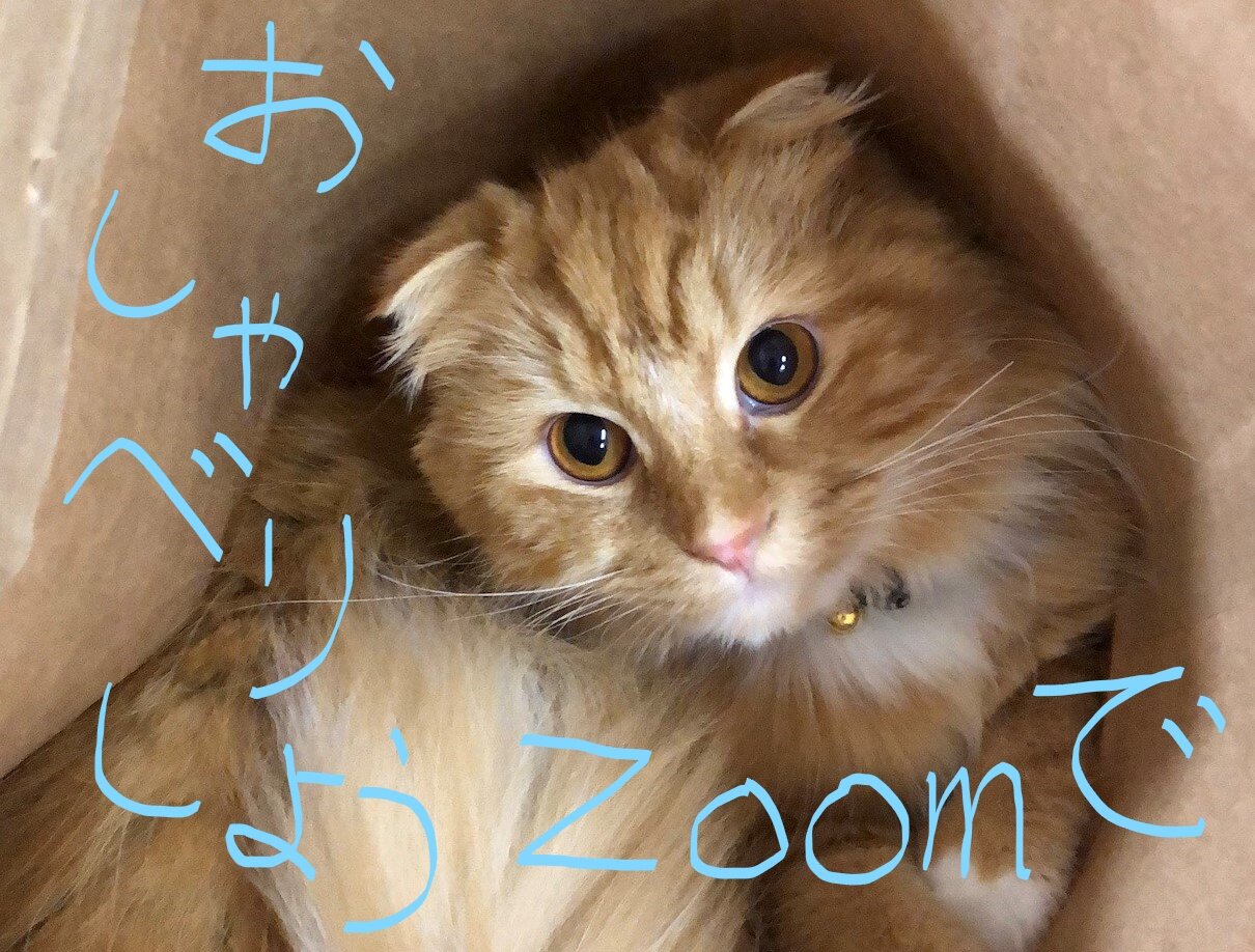 【開催案内】試験が終わったら、Zooｍでおしゃべりしよう！