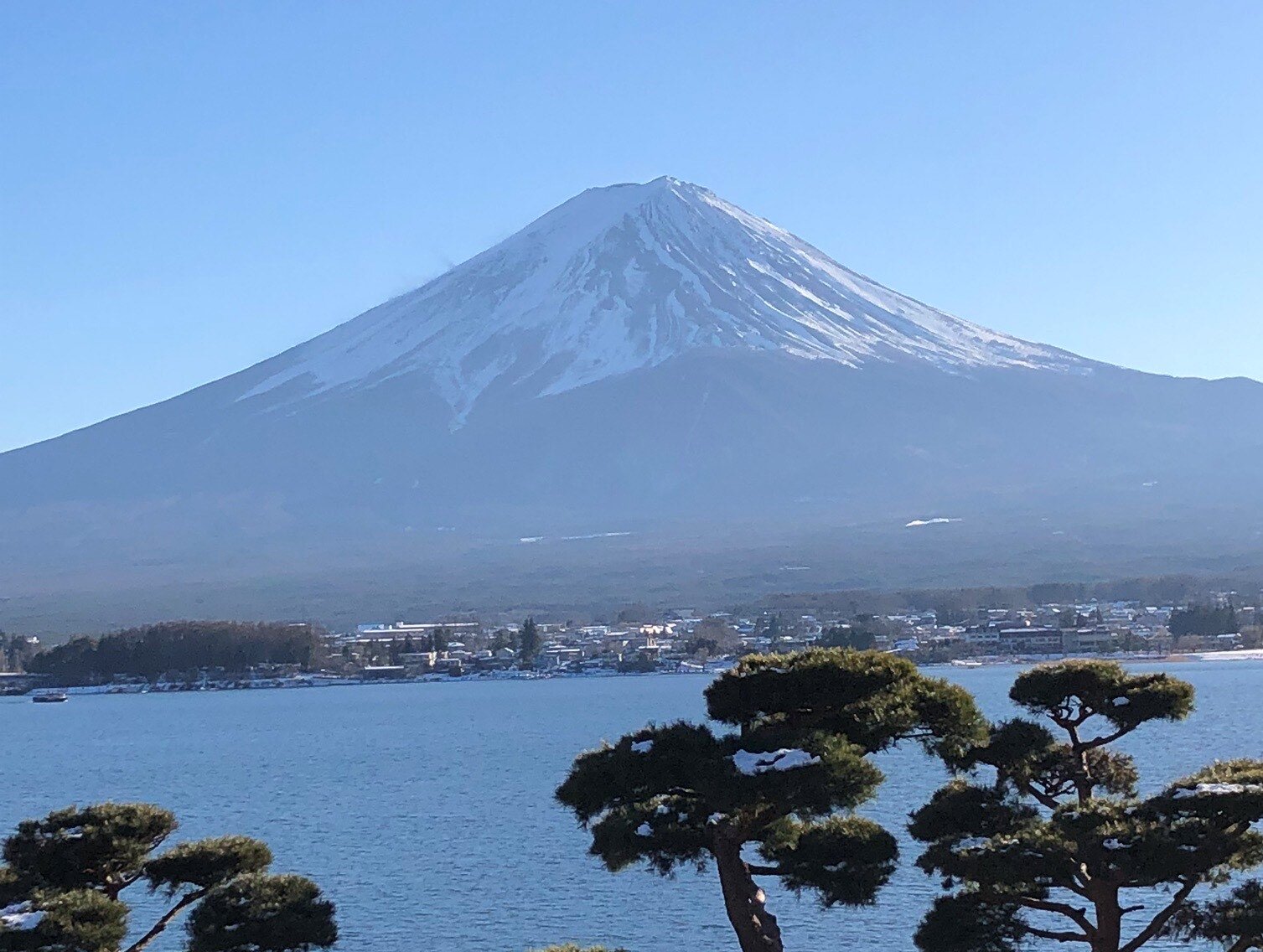 学生相談室コラム　Vol.38 - 2022年4月、成年年齢が18歳に。