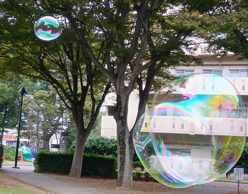 【開催報告】 学生相談室主催イベント「みんなでシャボン玉！」を開催