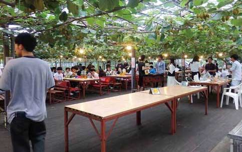 9) Mizushiro Orchard