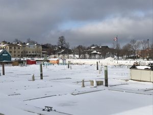 プリンス エドワード島大学 麗澤大学 国際交流センター