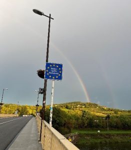 sub_field