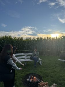sub_field