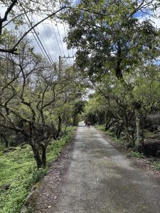 sub_field