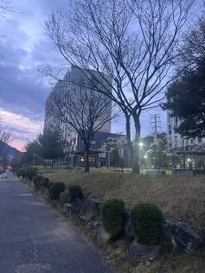 sub_field