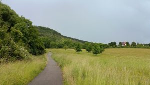 sub_field