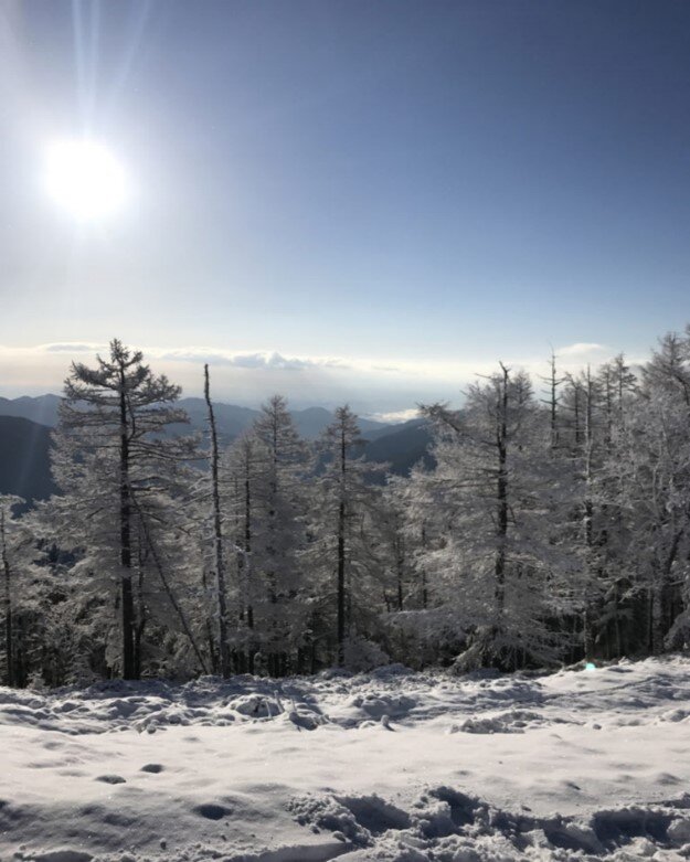 雲取山.jpg