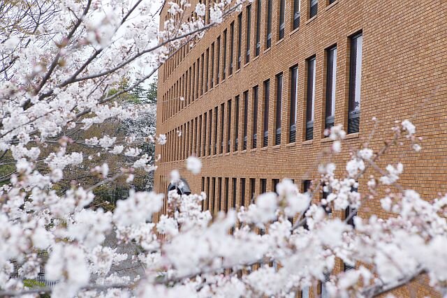 経済学部「2020年度 卒業論文 優秀賞」を発表　