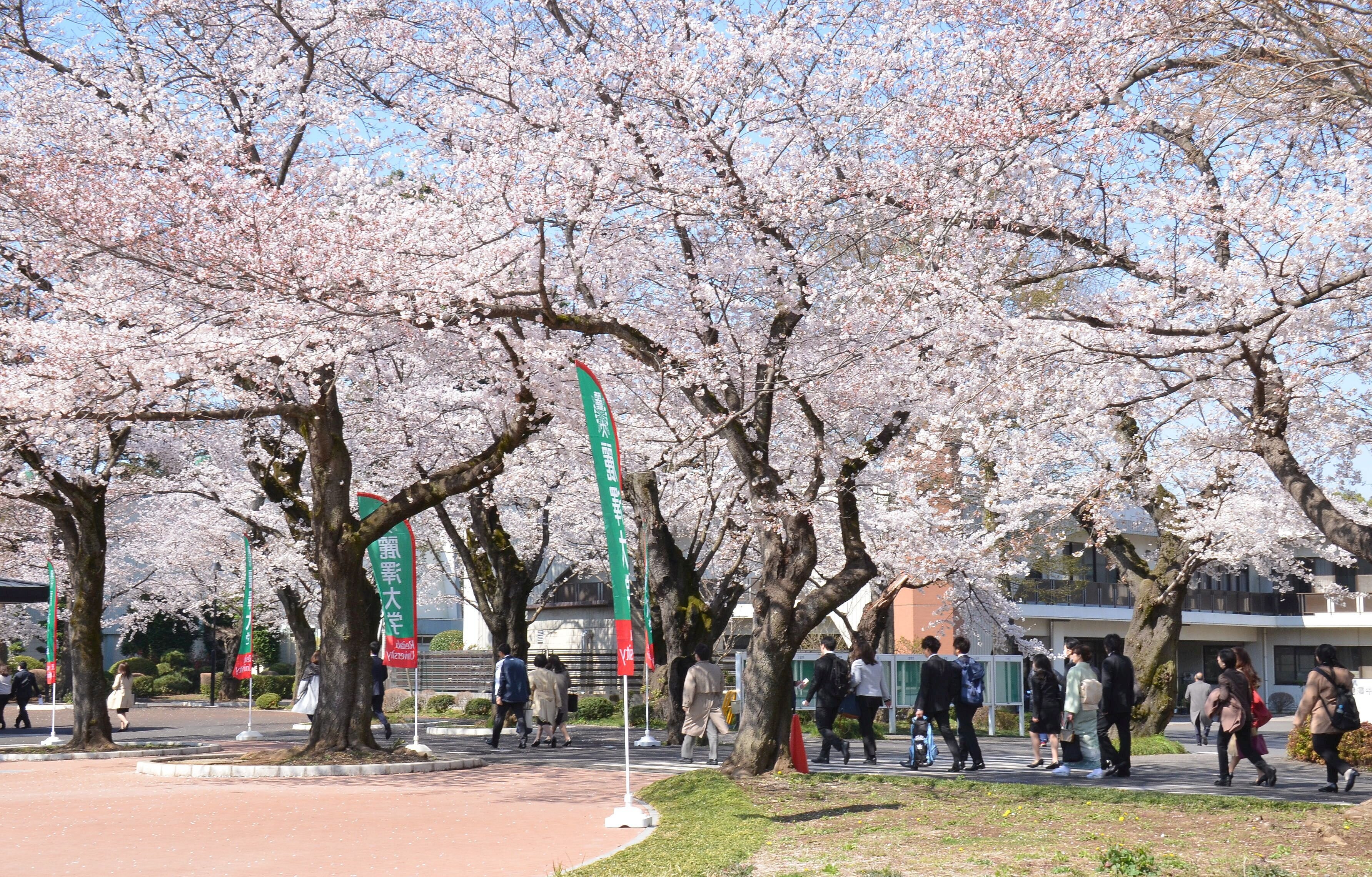 【入学予定者の皆さんへ】入学前後の予定について