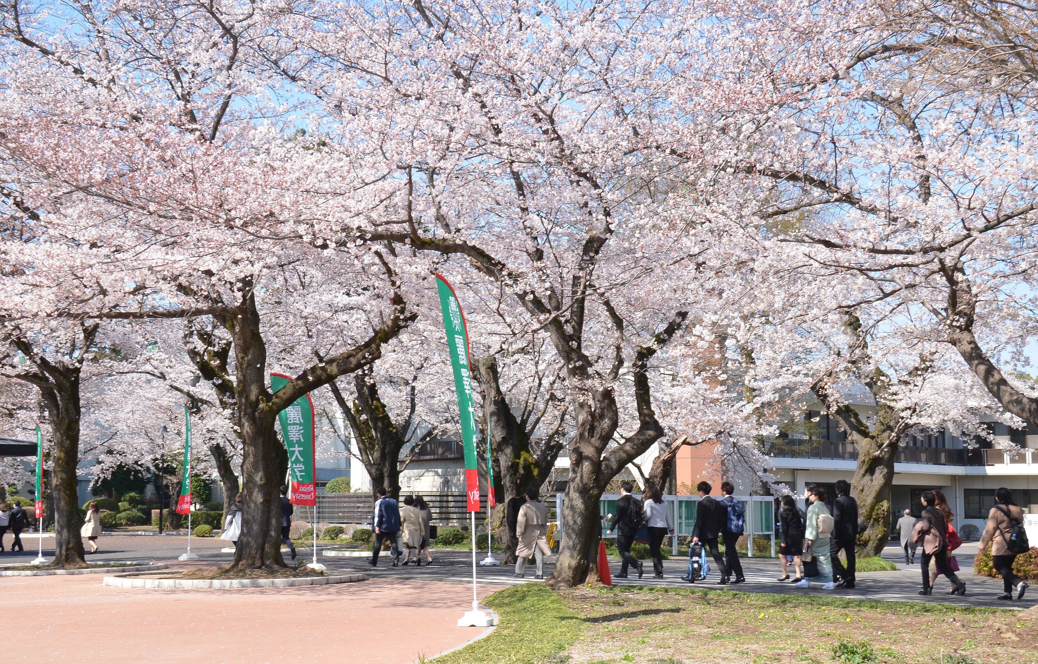 【重要なお知らせ】入学予定者の皆さんへ