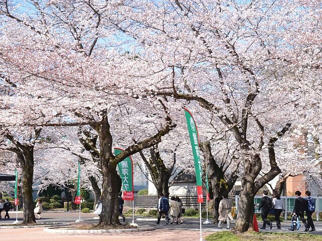 【入学予定者の皆さんへ】2021年度 入学式について