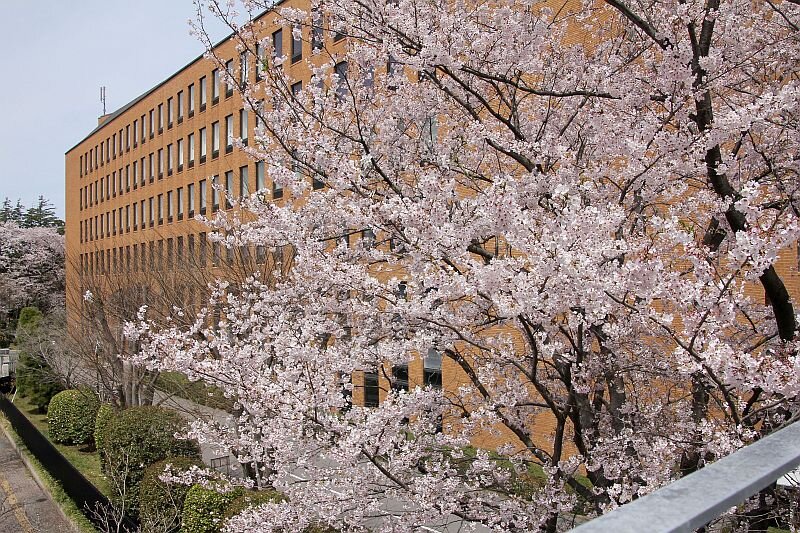 【開催案内】2023年度入学式について