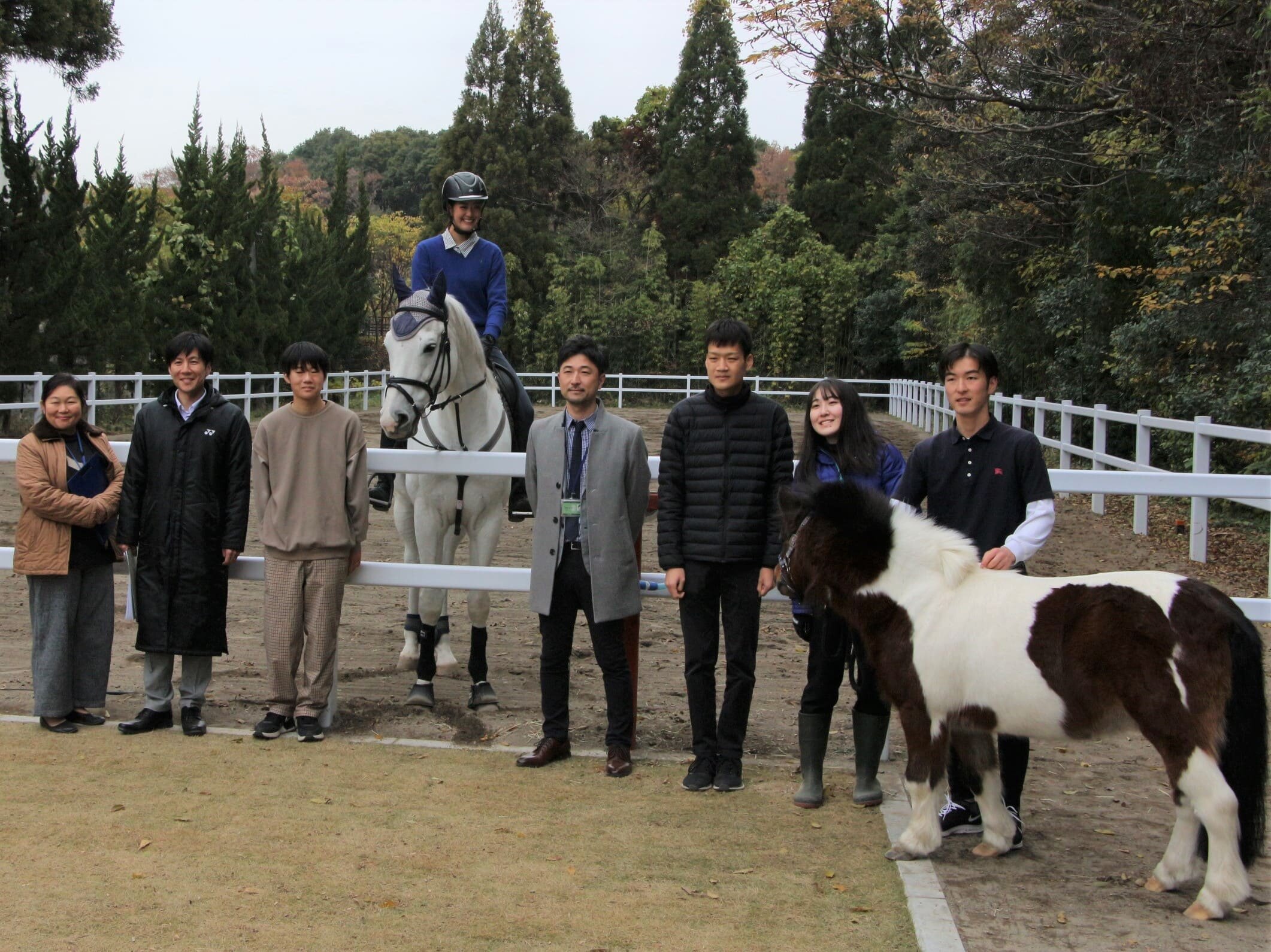 【開催報告】ポニーと馬場のお披露目会