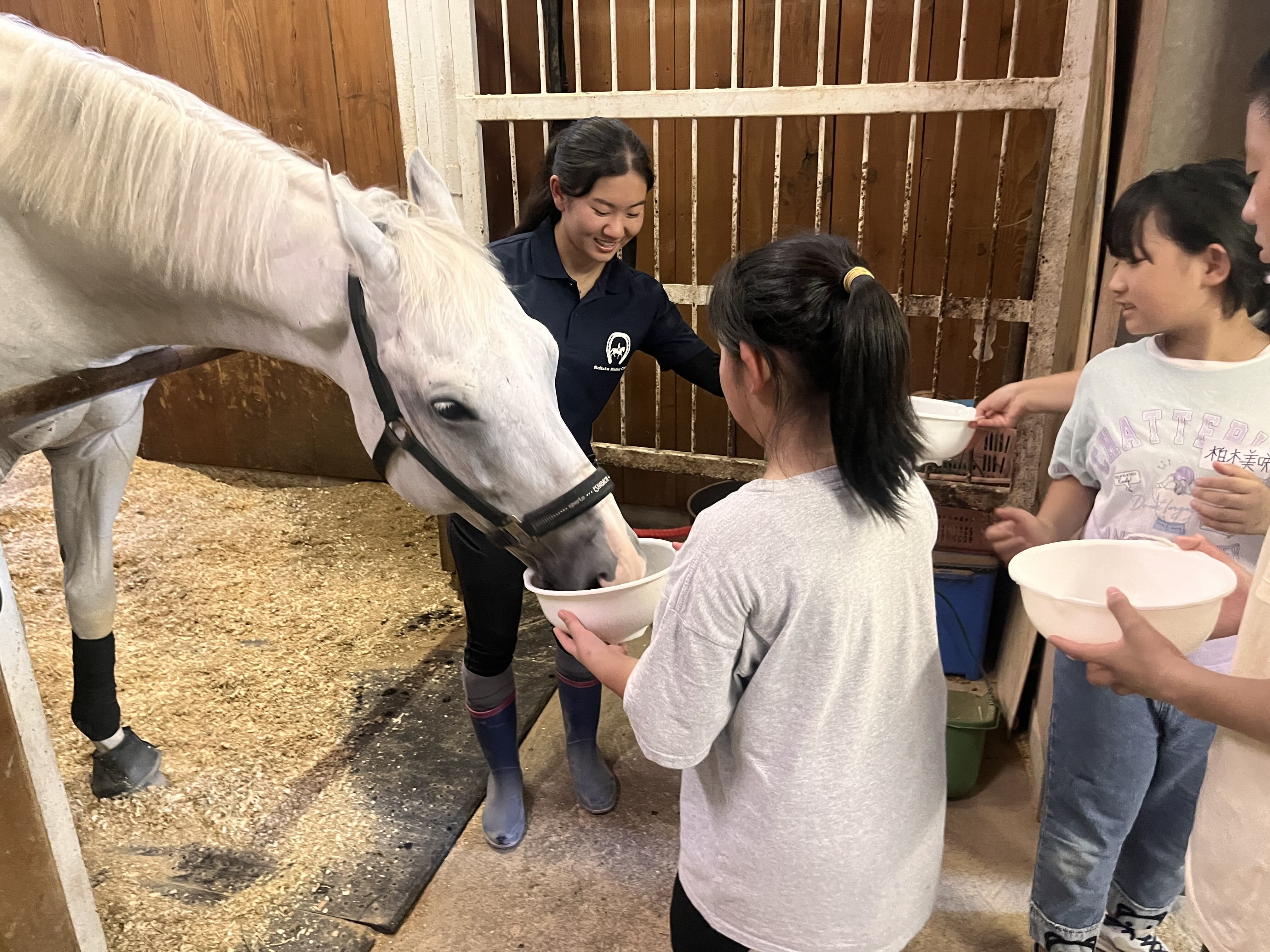 【開催報告】馬術部主催　第2回セラピー講習会「馬について学ぼう！～馬の利活用講習会～」開催
