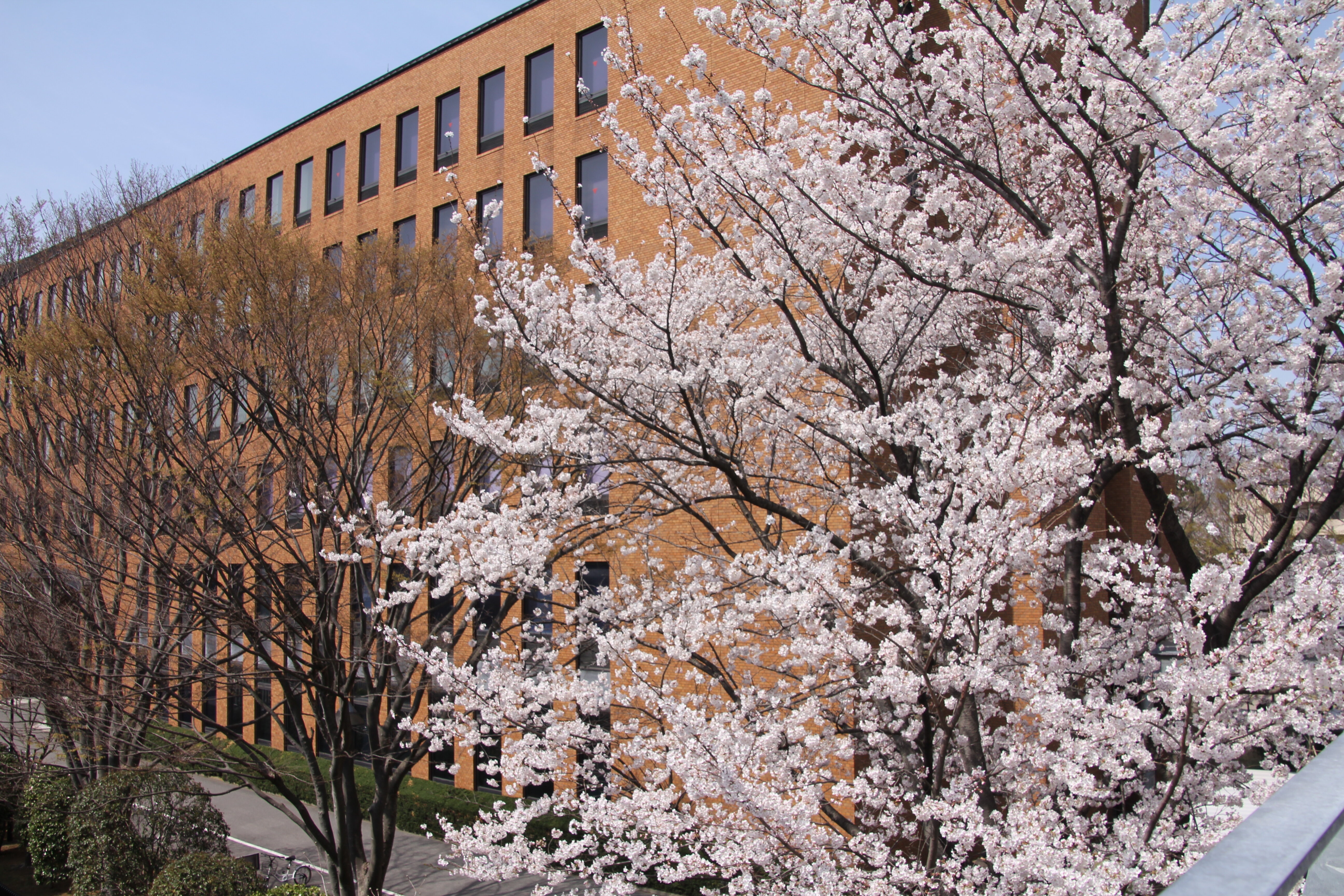 【開催案内】2026年度入学式について