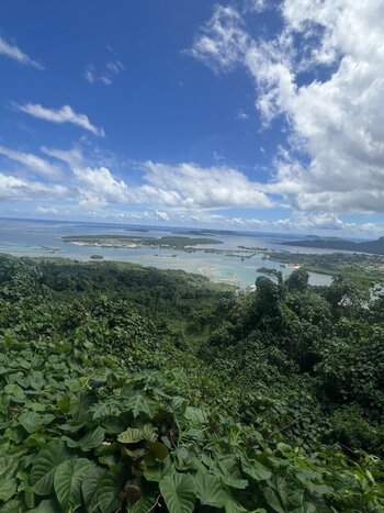 ①IMG_2338.jpeg