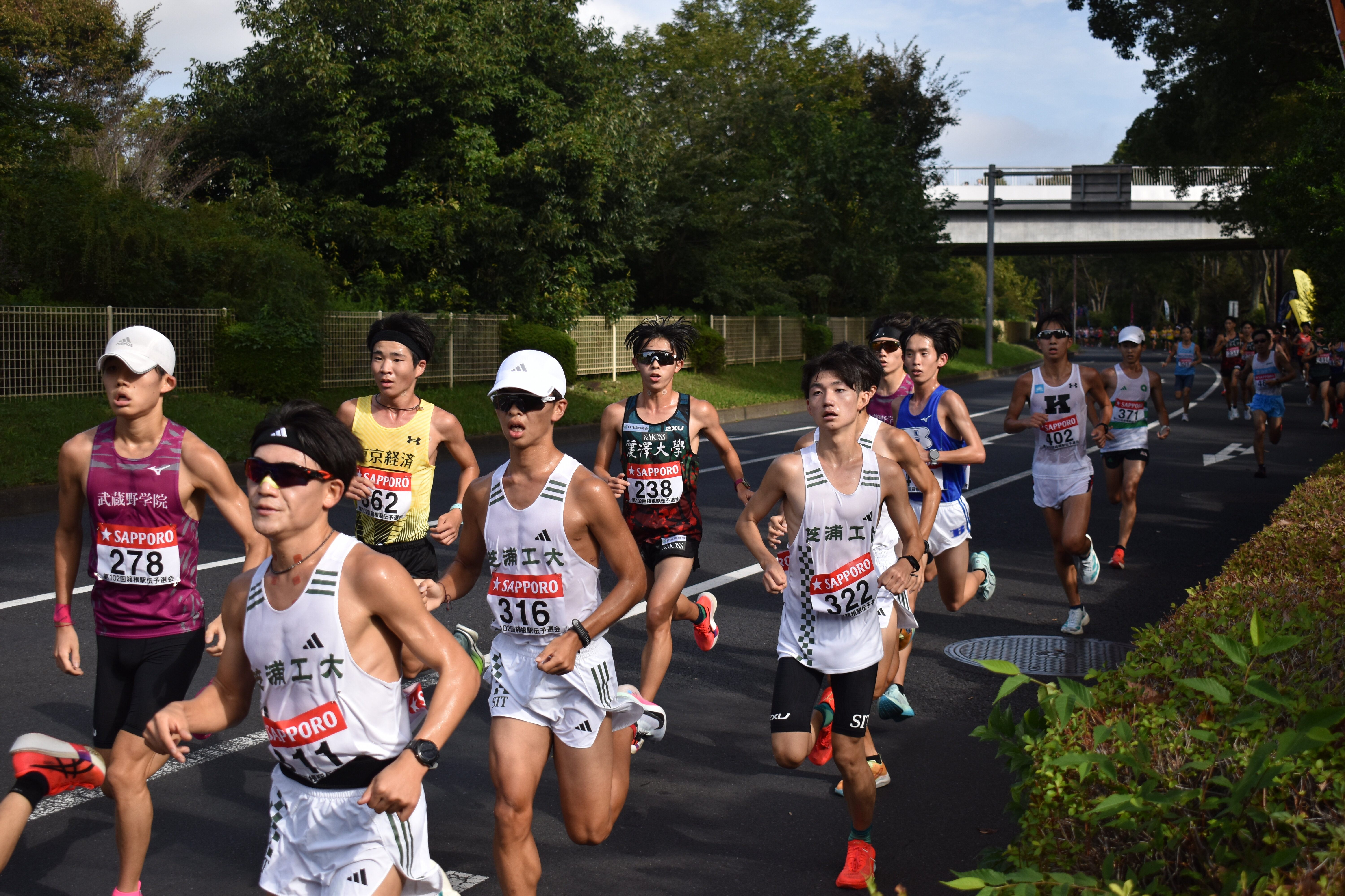 5c368080-857e-4787-9abe-b66cde1d68a1.jpg
